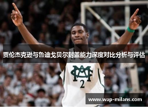 贾伦杰克逊与鲁迪戈贝尔封盖能力深度对比分析与评估