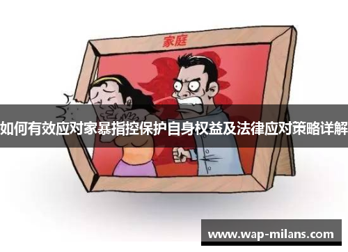 如何有效应对家暴指控保护自身权益及法律应对策略详解