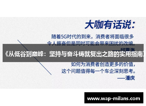 《从低谷到巅峰：坚持与奋斗铸就复出之路的实用指南》