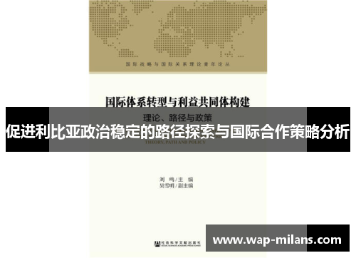 促进利比亚政治稳定的路径探索与国际合作策略分析