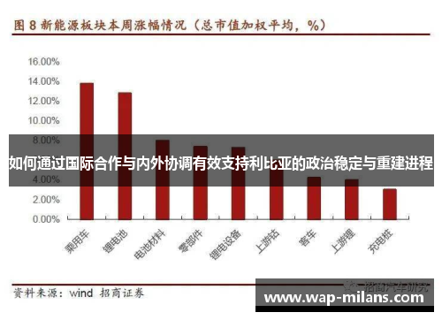 如何通过国际合作与内外协调有效支持利比亚的政治稳定与重建进程