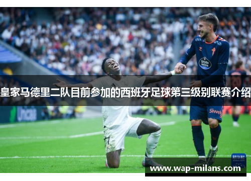 皇家马德里二队目前参加的西班牙足球第三级别联赛介绍